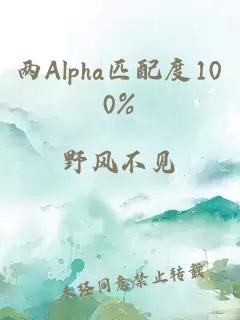 两Alpha匹配度100%