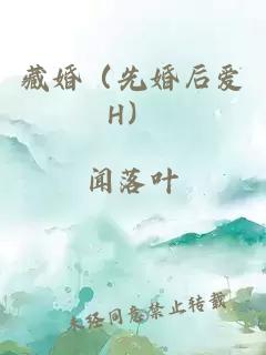 藏婚（先婚后爱H）