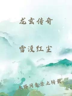 龙玄传奇