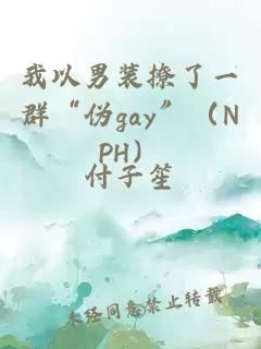 我以男装撩了一群“伪gay”（NPH）