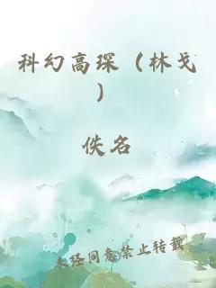 科幻高琛（林戈）