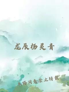 龙辰杨灵青