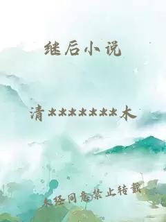 继后小说