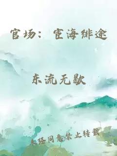 官场：宦海绯途