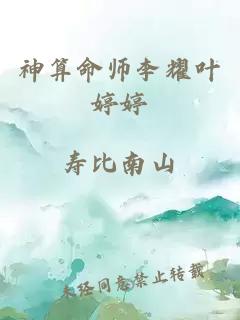 神算命师李耀叶婷婷