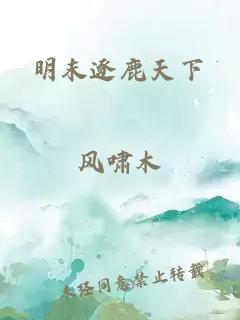 明末逐鹿天下