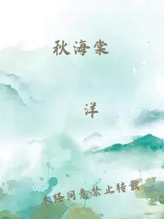 秋海棠