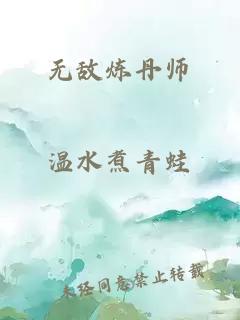 无敌炼丹师