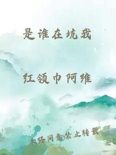 是谁在坑我