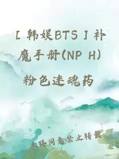 ［韩娱BTS］补魔手册(NP H)